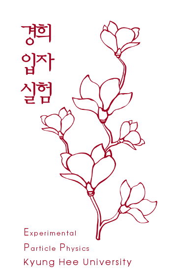 front image korean